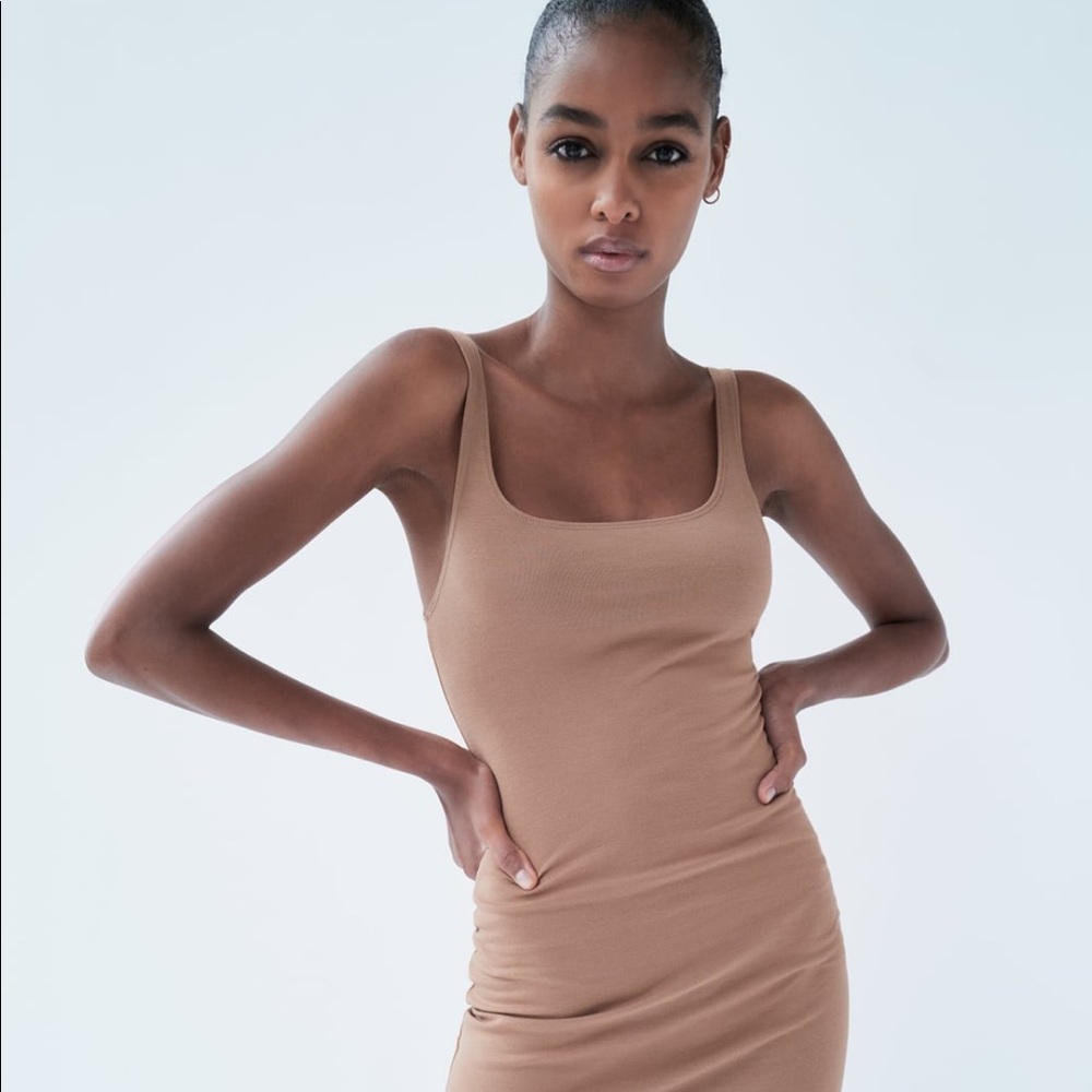 Zara NWT fitted dress
